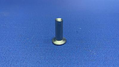 Заклепка тормозной колодки ТАТА 613 Е2,Е3 6-17DK