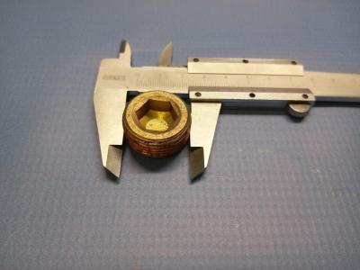 Заглушка блока цилиндров FOTON 1041 1049А 1069 1093 1099 (резьбовая) (T0650588)