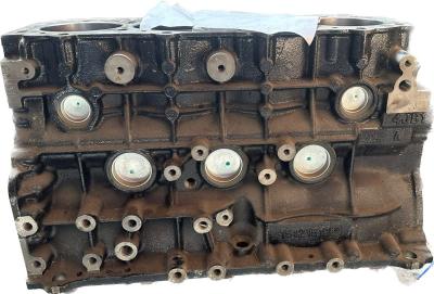 Блок цилиндров FOTON 1039 E3 AUMARK (дв. BJ493ZQ/ZLQ3) (гильзованный) (E049302000256)