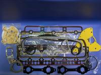 Комплект прокладок двигателя ТАТА 613 Е3 (с прокладкой ГБЦ паронит) (252501990221)