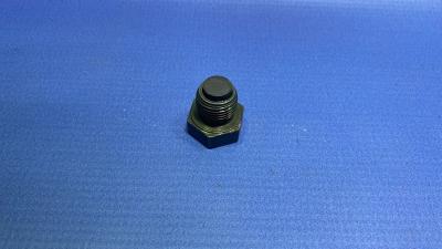 Пробка поддона (картера) сливная ТАТА 613 Е2 Е3 1618 207 407 XENON (253401130111)