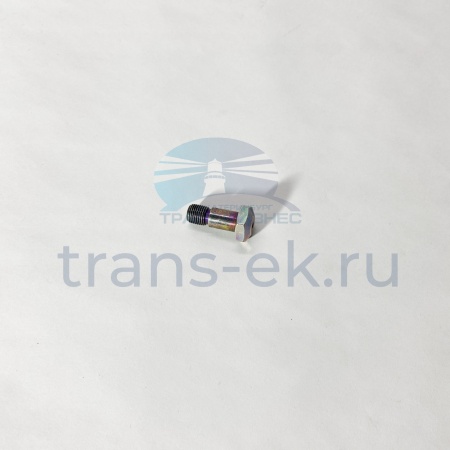 Клапан редукционный (на масляный распылитель) ТАТА 613 E2 E3 E4 (252518170150)