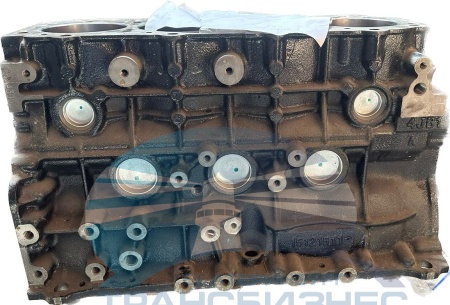 Блок цилиндров FOTON 1039 E3 AUMARK (дв. BJ493ZQ/ZLQ3) (гильзованный) (E049302000256)