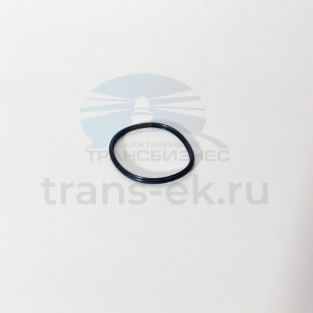 Прокладка термостата FOTON 1051 1061 Валдай (дв. Cummins ISF 2.8 ISF 3.8) (3954829F)