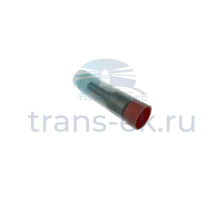 Распылитель форсунки FOTON 1039 (DSLA148P042)