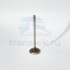 Клапан впускной FOTON 1039 Е4 Tunland Бизнес NEXT (дв. Cummins ISF 2.8) (5308264F)