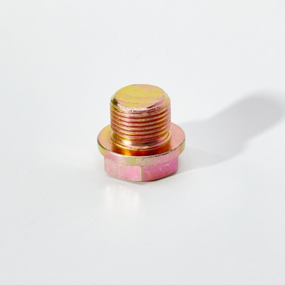 Пробка маслозаливная картера заднего моста FOTON 1061 1069 1093 1099 (L=23,D=19) (2400008-HF15015)