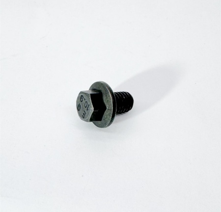 Болт шкива вентилятора ISF2,8 (M8x1.25x10) (3093922)