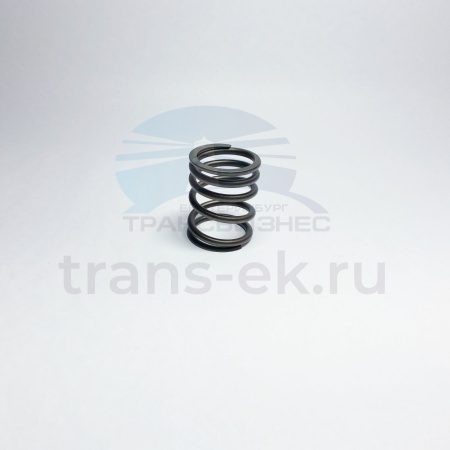Пружина клапана впуск выпуск наружная FOTON 1041 1049А 1069 1093 1099 (T31745122)