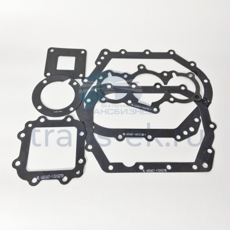 Комплект прокладок КПП JAC N120 (6DS60T-ZHD)