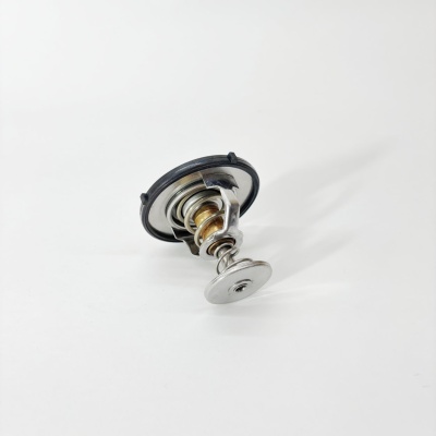 Термостат №1 FOTON 4189 (3696214)