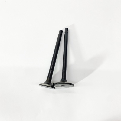 Клапан впускной / выпускной ТАТА 613 Е3 Е4 (30/45) (к-т на цилиндр) (885403982525 , 885401182525)