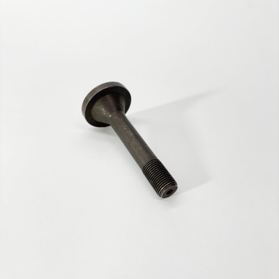 Болт распредвала ТАТА 613 Е2 Е3 (короткий) (3520750071)