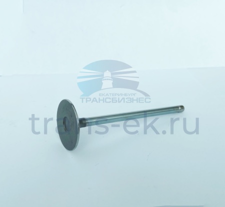 Клапан впускной FOTON 1039 Е4 Tunland Бизнес NEXT (дв. Cummins ISF 2.8) (5308264F)