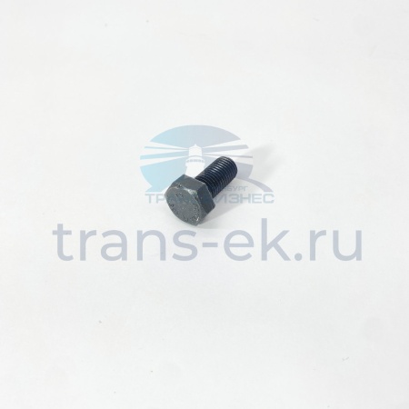 Болт маховика ТАТА 613 E2 E3 (3129900301)