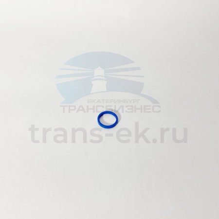 Кольцо уплотнительное форсунки FOTON 1069 1099 второпласт (T33813129)